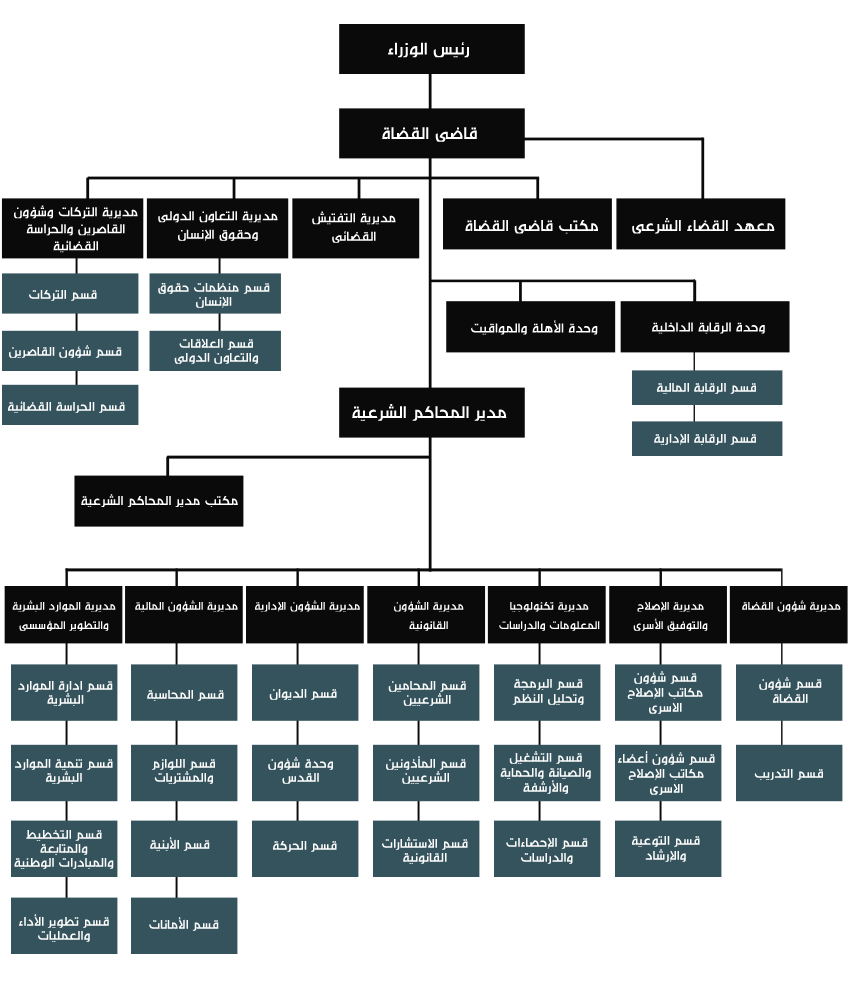 الهيكل_التنظيمي